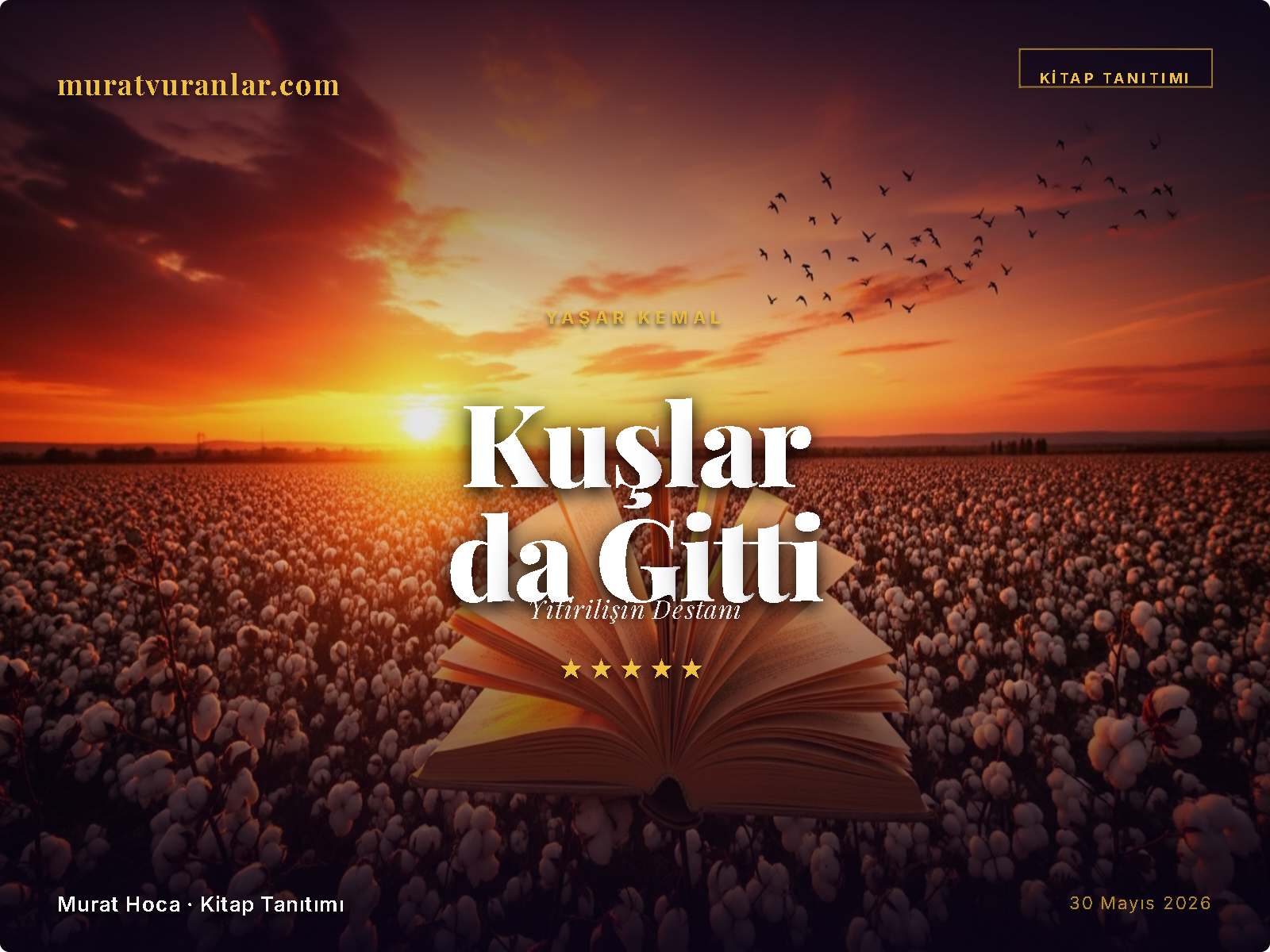 YAŞAR KEMAL —  Kuşlar da Gitti Yitirilişin Destanı — Çukurova'nın Son Sesi