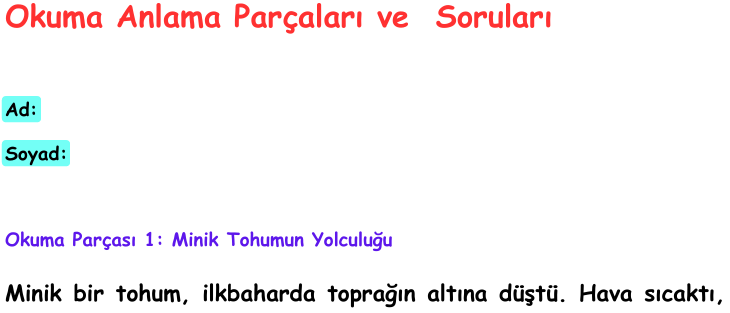 KISA OKUMA ANLAMA PARÇALARI